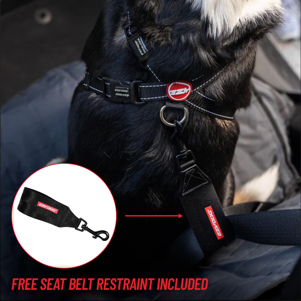 EzyDog Chest Plate harness used as a seat-belt car restraint