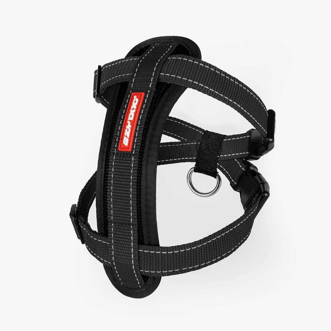 EzyDog Chest Plate harness in black front angle