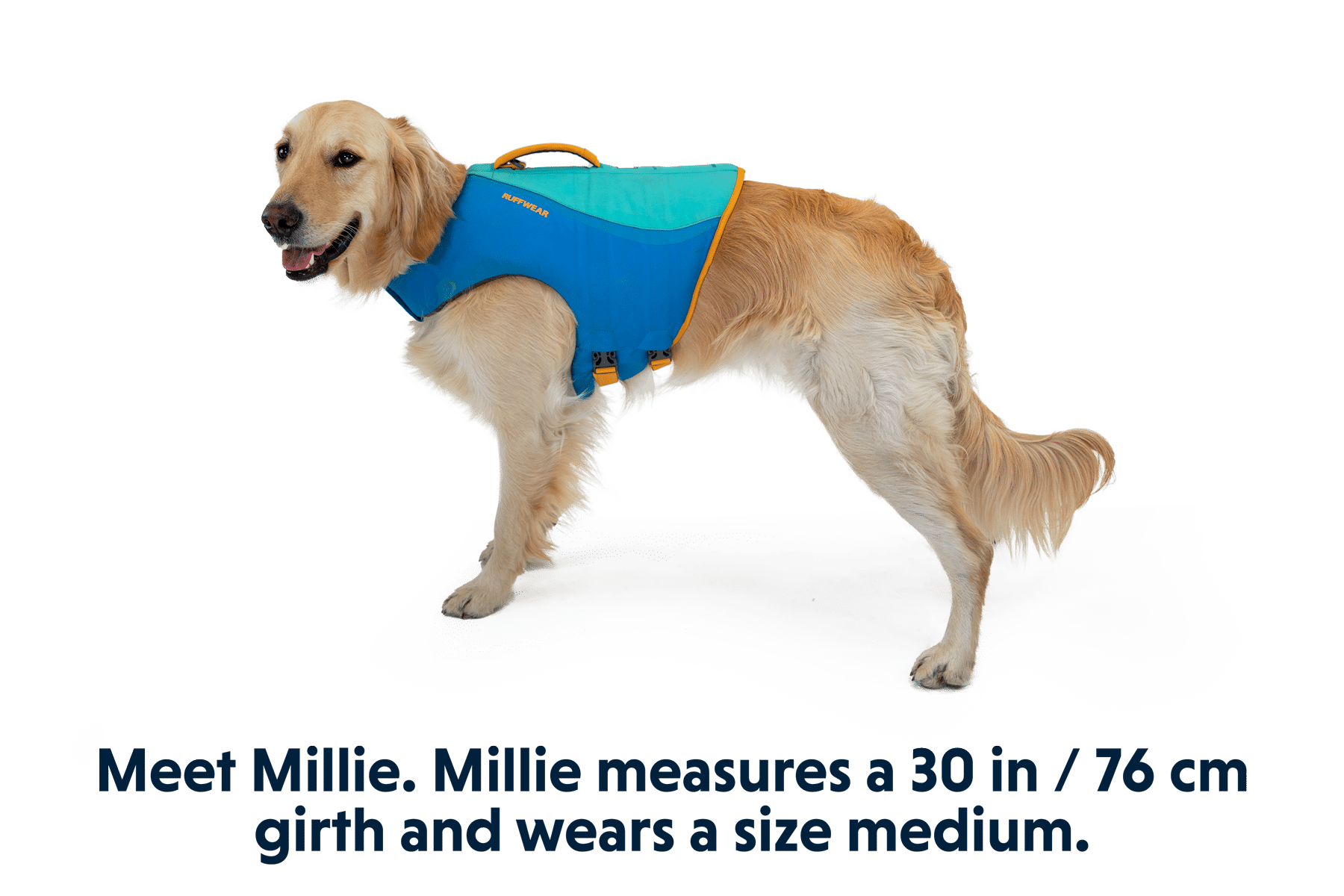 Dog wearing Ruffwear Float Coat life jacket floating in water with head held up