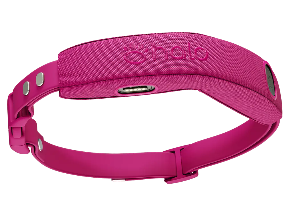 Halo Collar 4 device hardware showing the fabric band and charging contacts