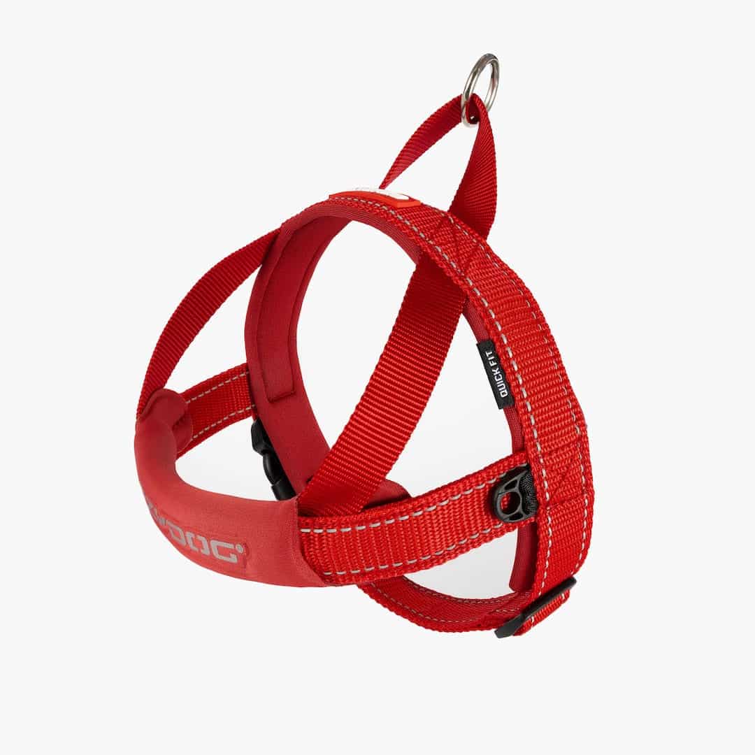 EzyDog Quick Fit Dog Harness