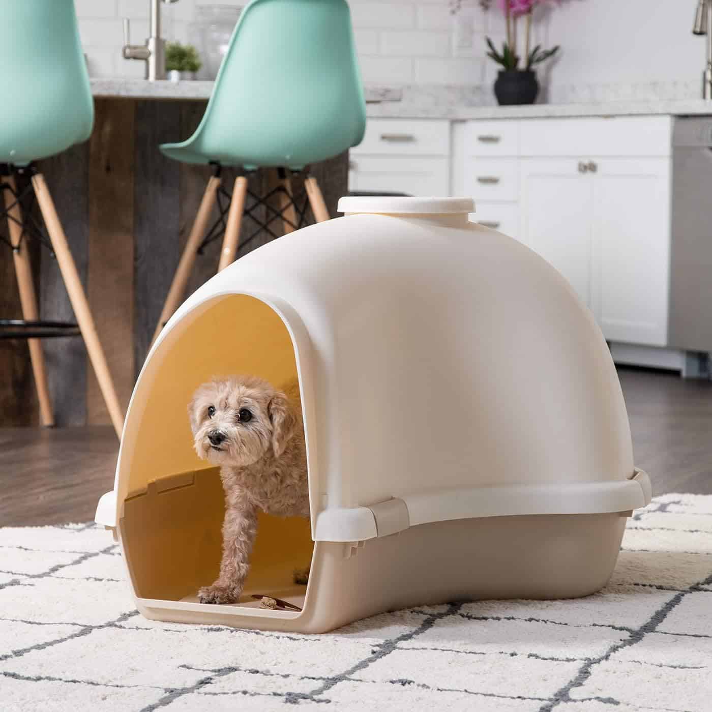 IRIS igloo dome and hooded doorway