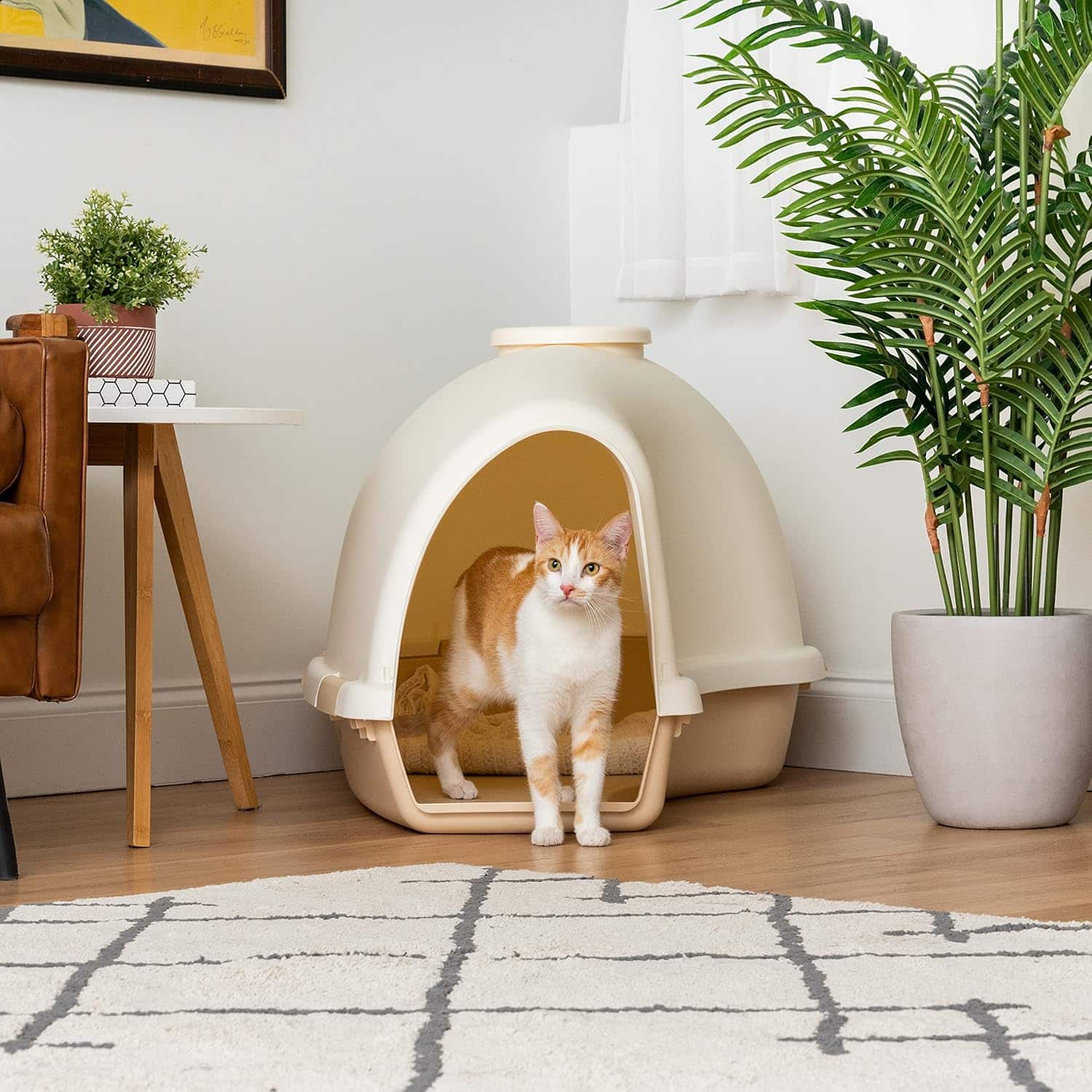 IRIS igloo used indoors by a cat