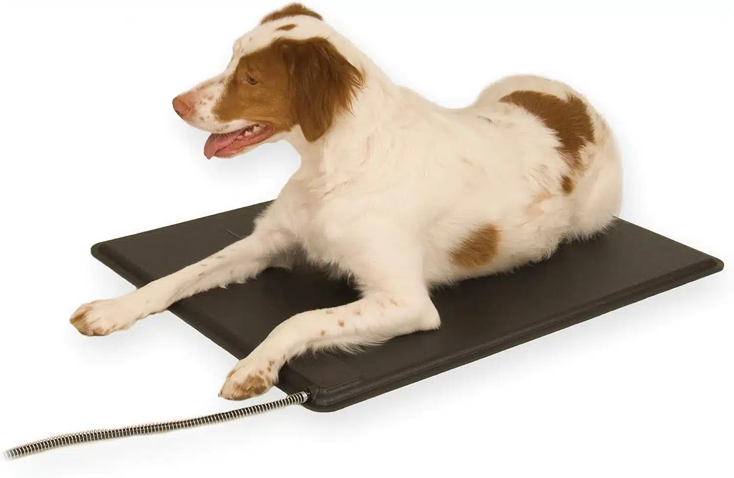 K&H Lectro-Kennel rigid heated outdoor dog pad