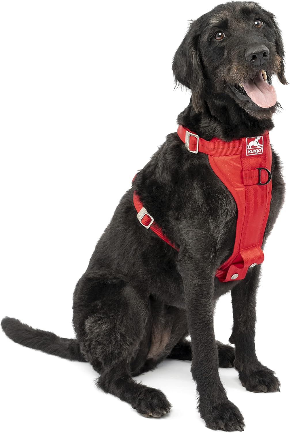 Kurgo Tru-Fit Enhanced Strength crash-tested dog car harness with steel buckles on a large black dog