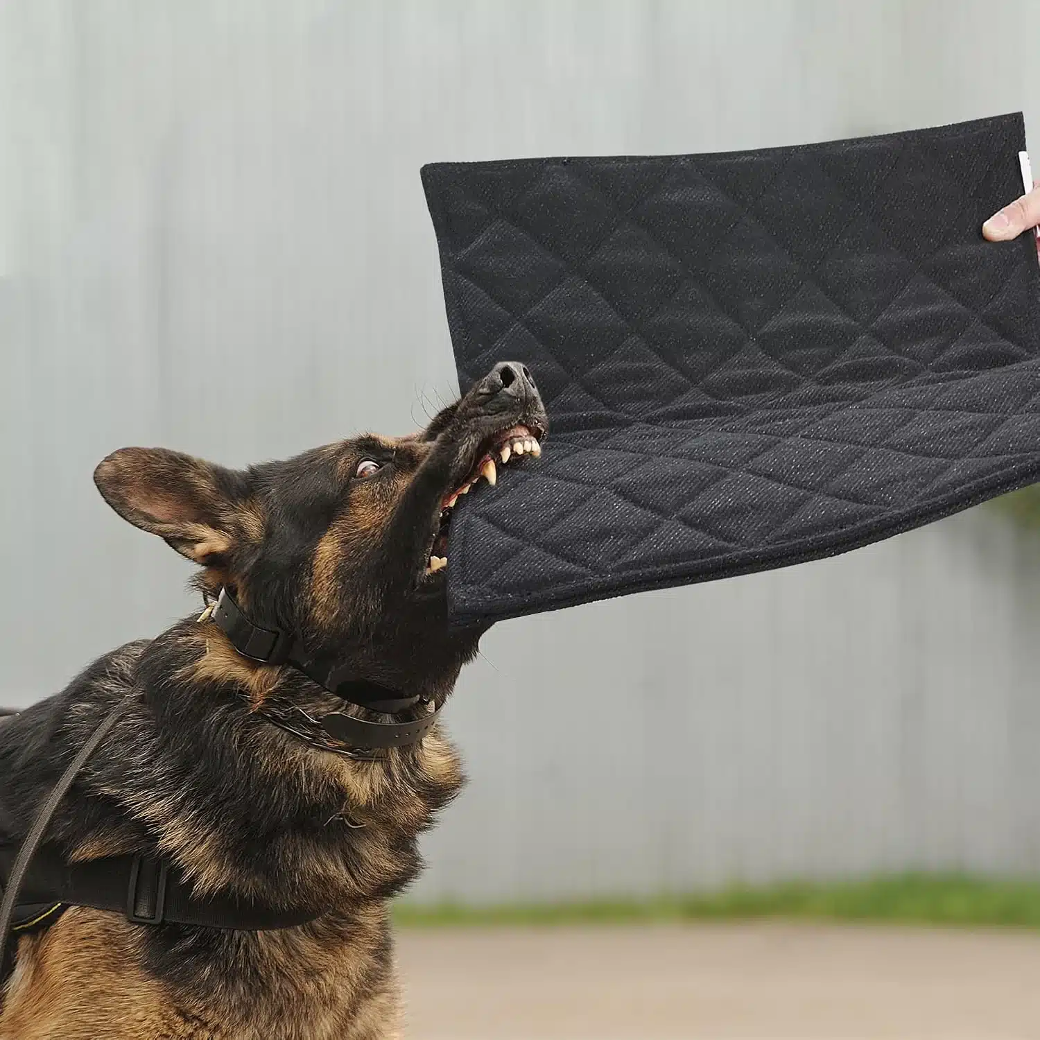 MABOZOO indestructible washable dog kennel mat for aggressive chewers