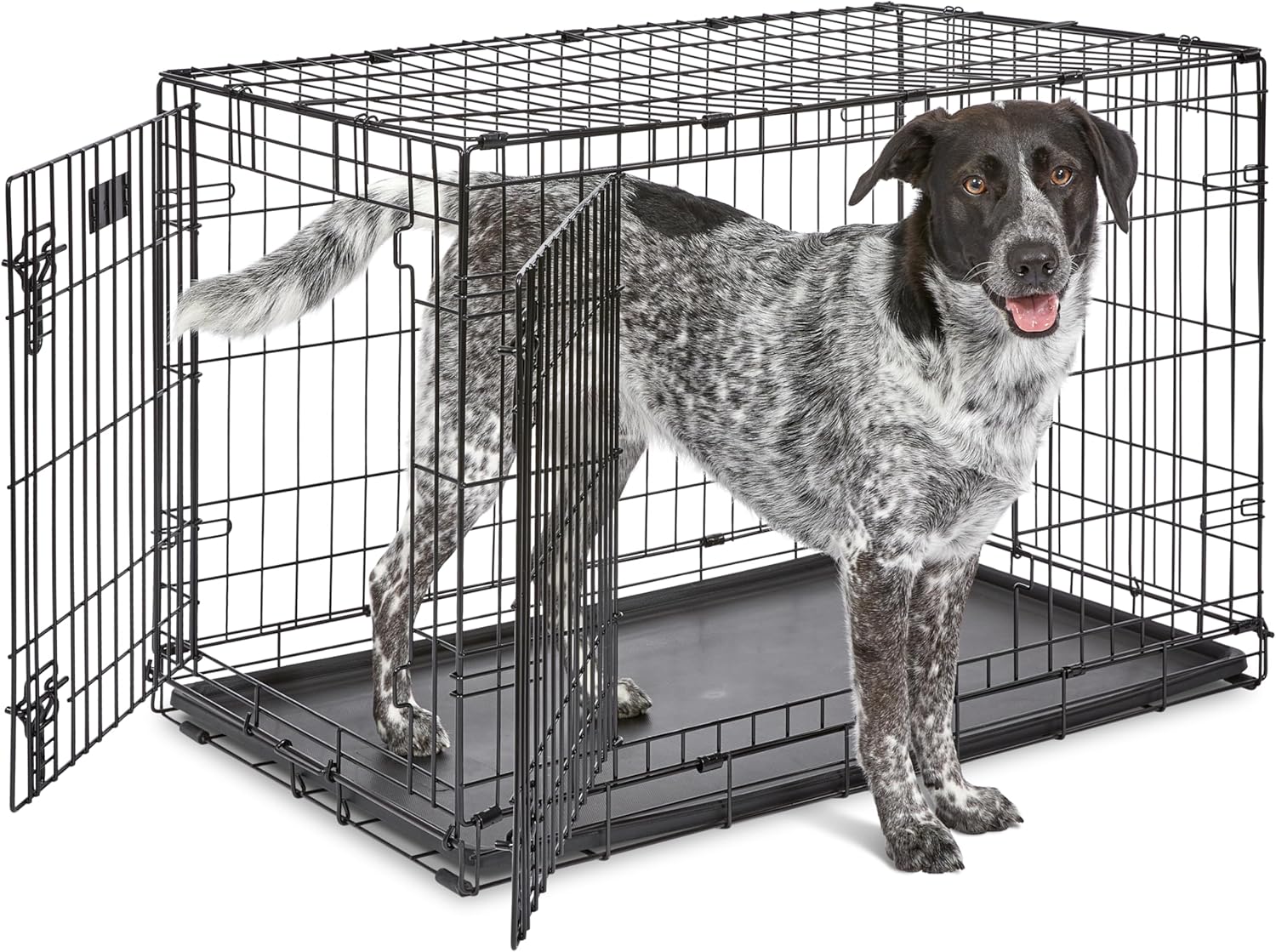 MidWest 36-inch iCrate folding wire dog crate with divider panel — for a smaller female Siberian Husky or a growing Husky puppy