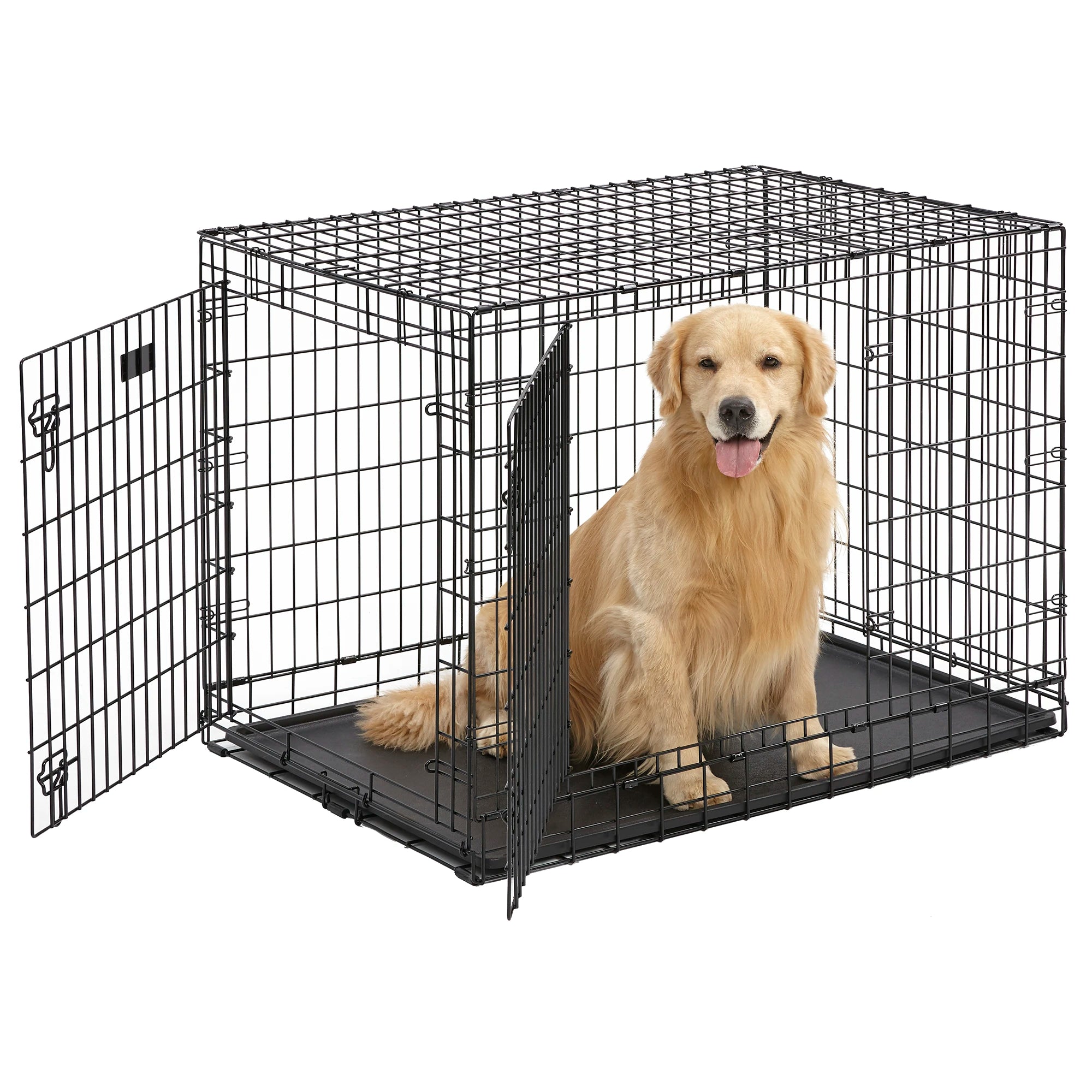 MidWest 42-inch iCrate double-door folding wire dog crate with divider panel — the correct crate size for an adult Labrador Retriever