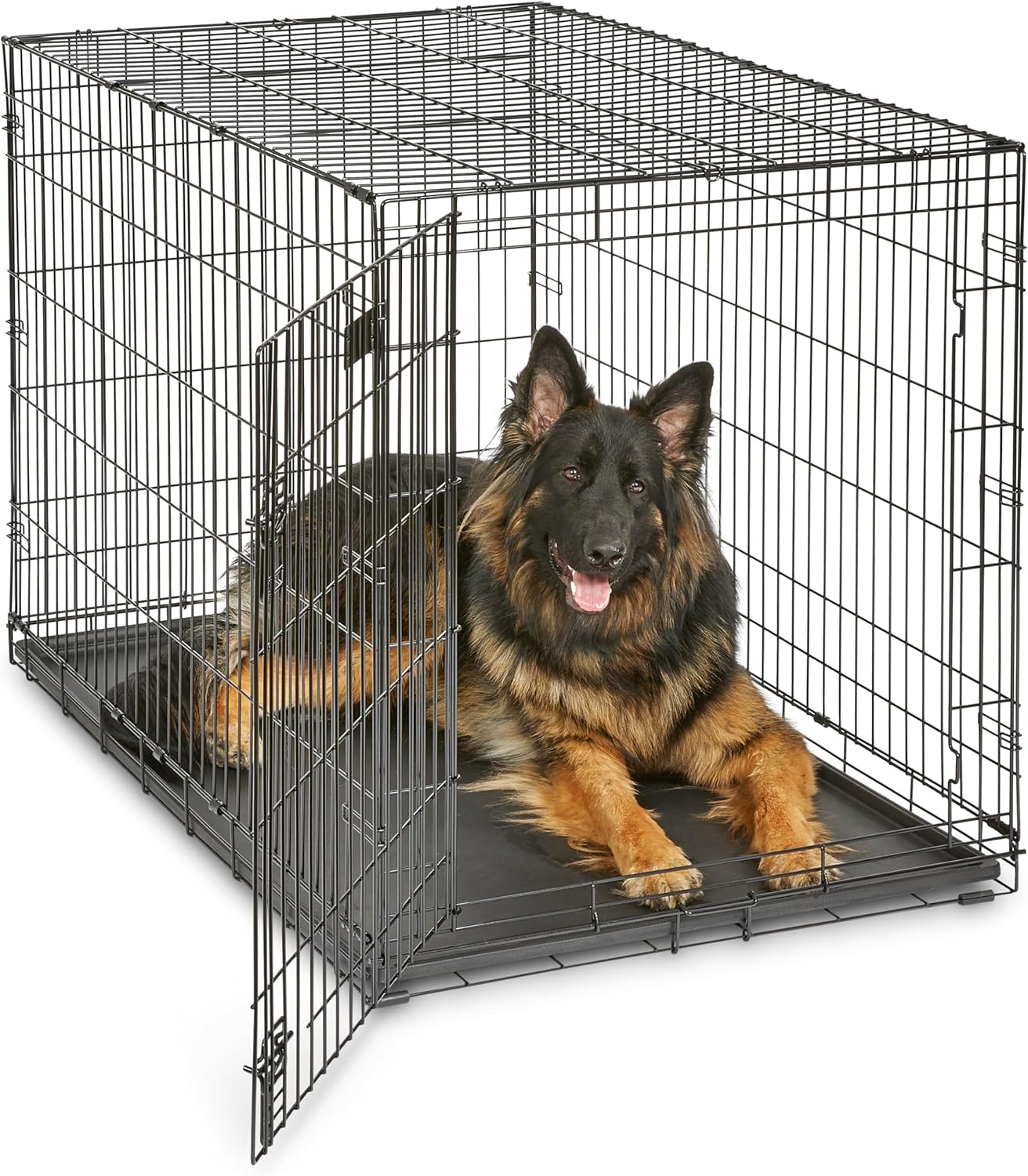MidWest iCrate 48-inch folding dog crate with included divider panel to size down an oversized crate