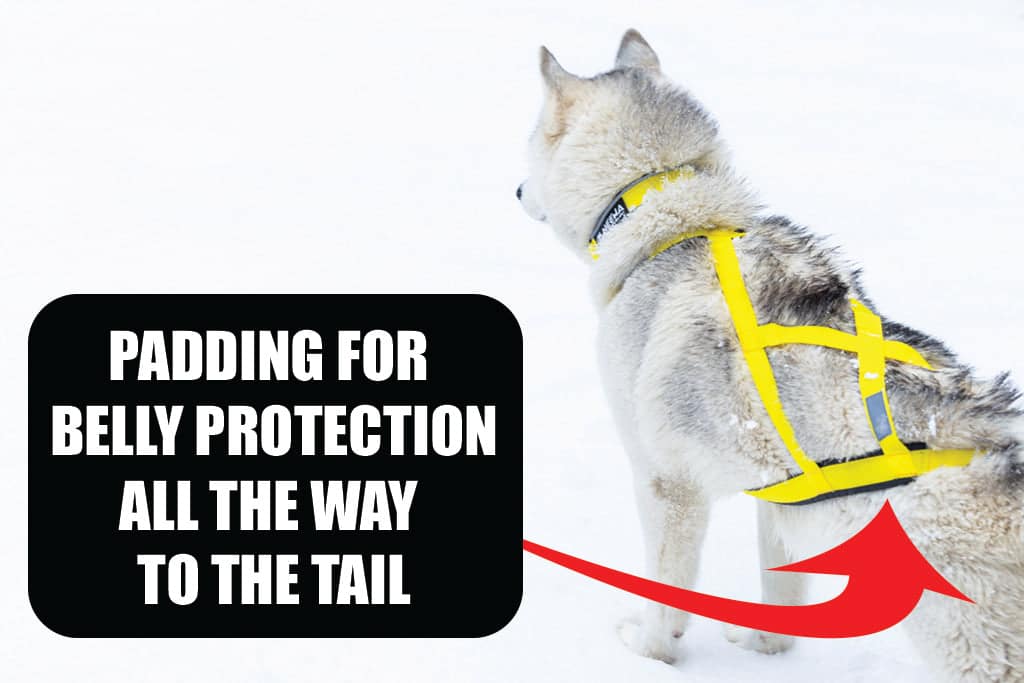 Neewa Pro Sled Dog Harness X-back design for sledding and canicross — best pulling harness for a Husky