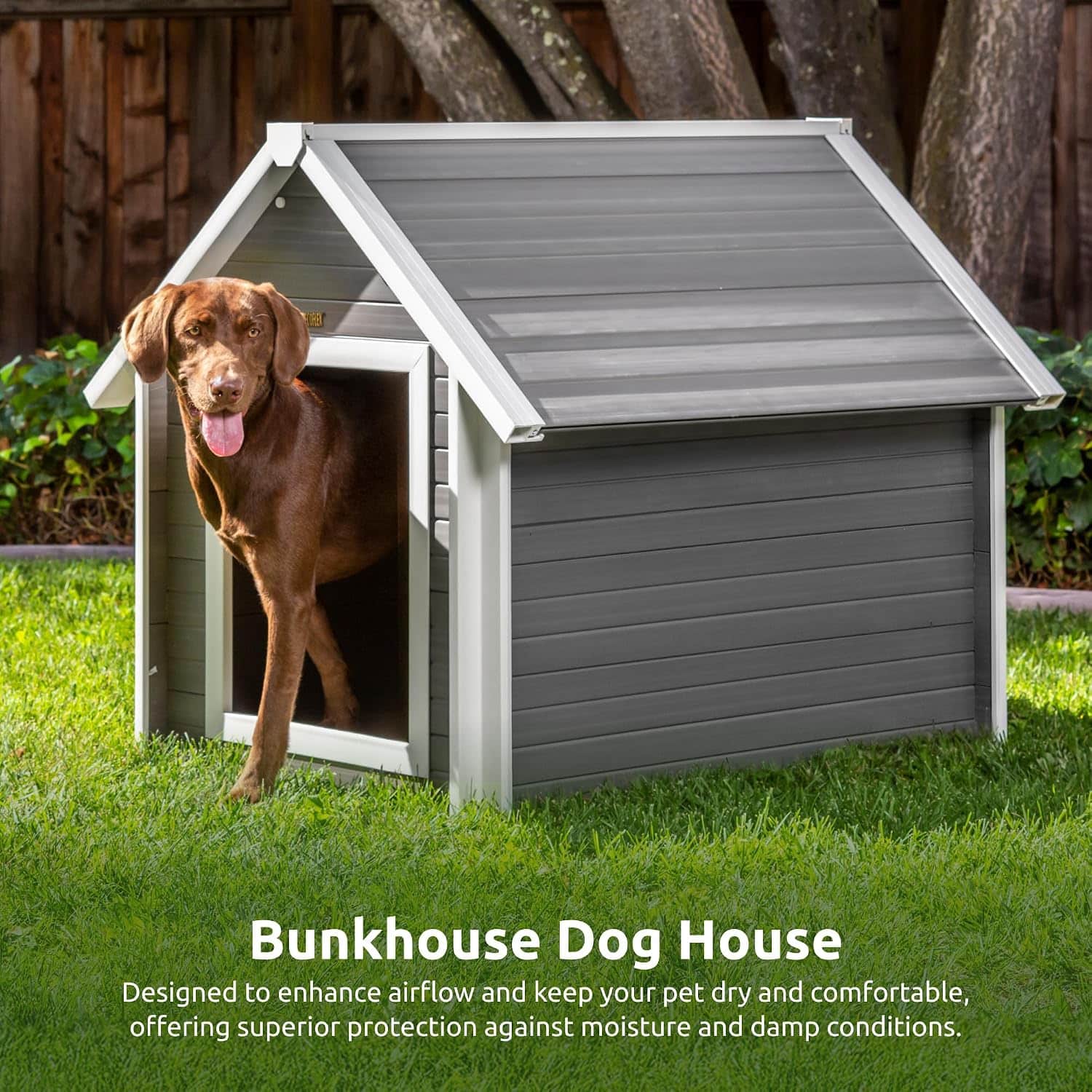 Chocolate Labrador stepping out of a New Age Pet ECOFLEX dog house in a backyard