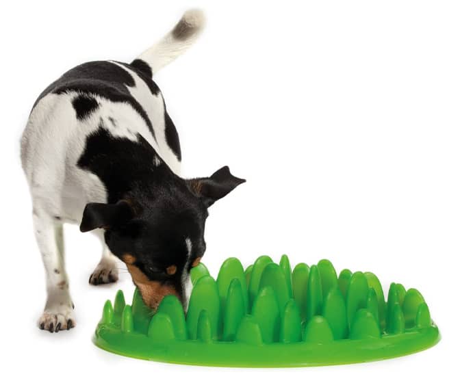 Northmate Green Interactive grass-blade maze slow feeder dog bowl for fast eaters and large dogs