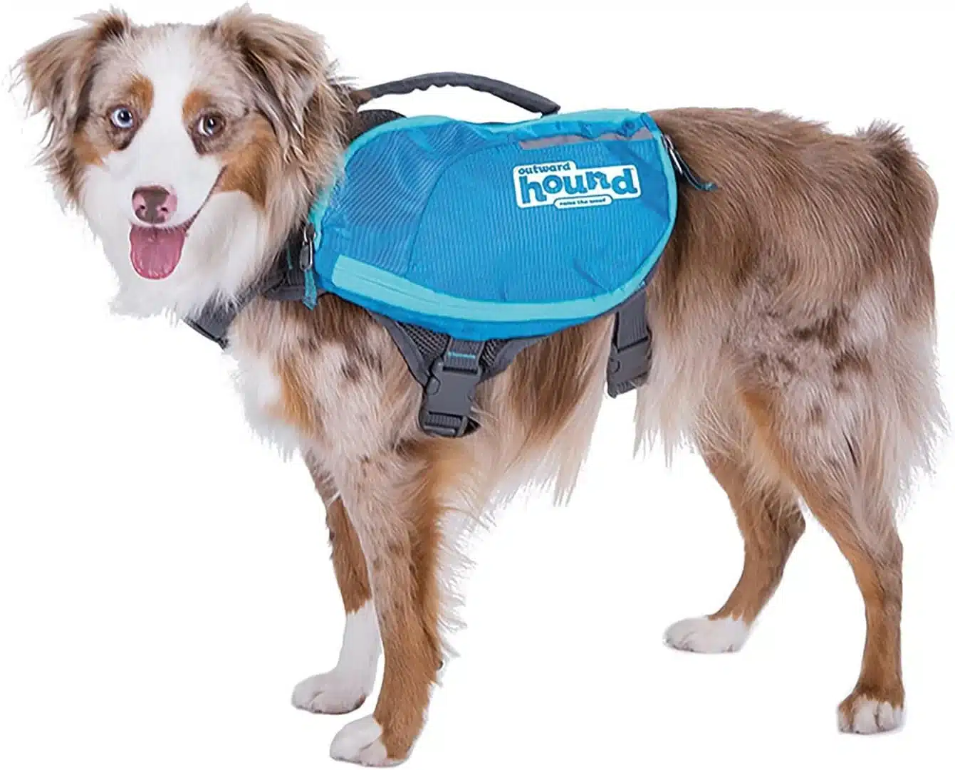 Outward Hound DayPak dog saddlebag backpack in blue, medium size, shown from the side