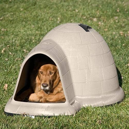 Large golden retriever resting inside a Petmate Indigo Igloo dog house