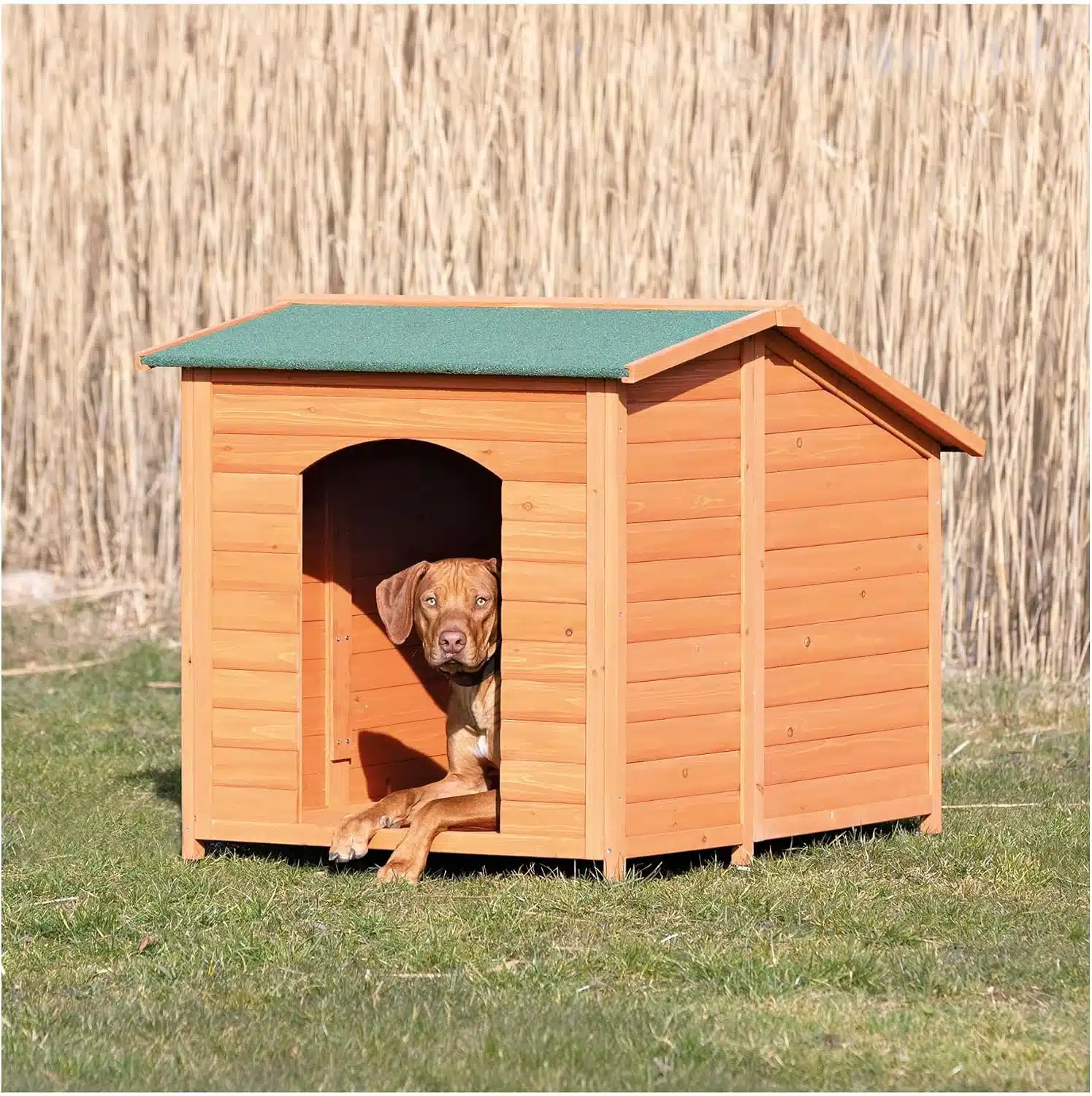Trixie Natura Classic insulated wooden dog house